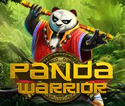 Panda Warrior